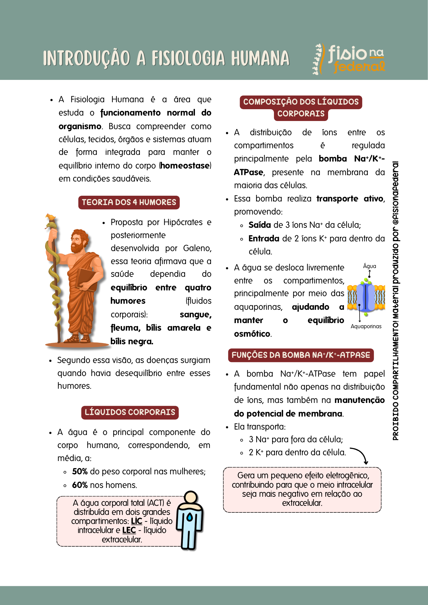 INTRODUÇÃO A FISIOLOGIA HUMANA